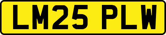 LM25PLW