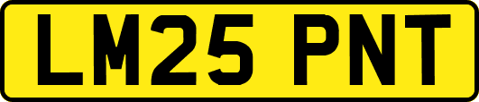 LM25PNT