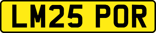 LM25POR