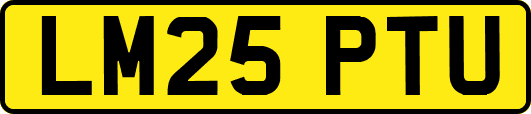 LM25PTU