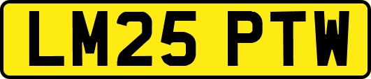 LM25PTW