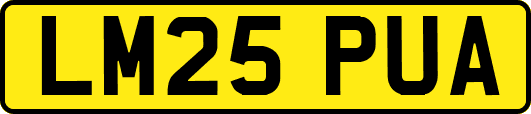 LM25PUA