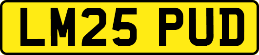 LM25PUD