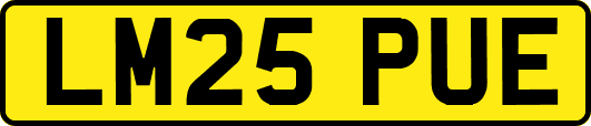 LM25PUE