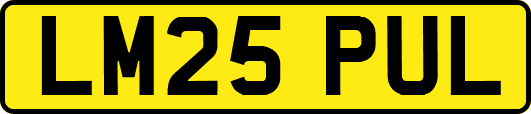 LM25PUL