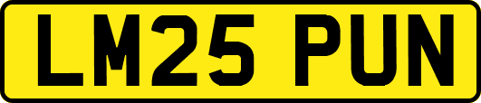 LM25PUN