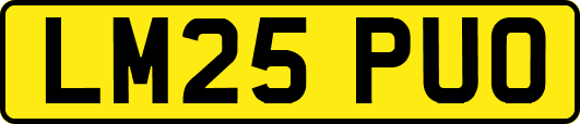 LM25PUO