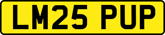 LM25PUP