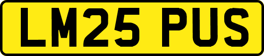 LM25PUS