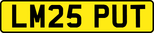 LM25PUT