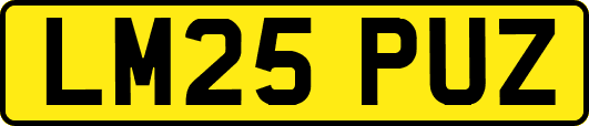 LM25PUZ