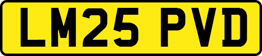 LM25PVD
