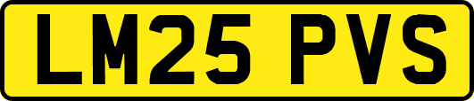 LM25PVS
