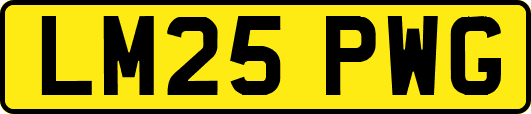 LM25PWG