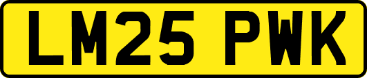 LM25PWK