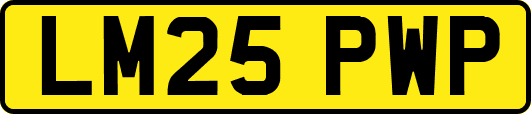 LM25PWP