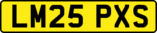 LM25PXS