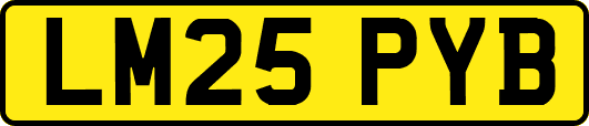LM25PYB