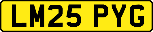 LM25PYG