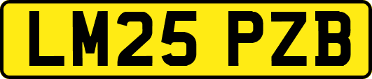 LM25PZB