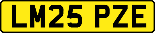 LM25PZE