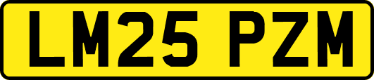 LM25PZM