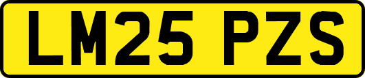 LM25PZS