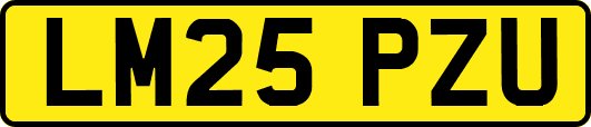 LM25PZU
