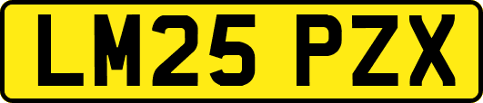 LM25PZX