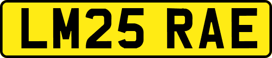 LM25RAE