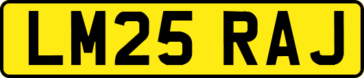 LM25RAJ