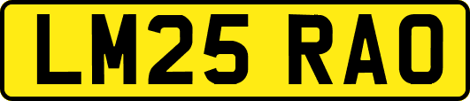 LM25RAO