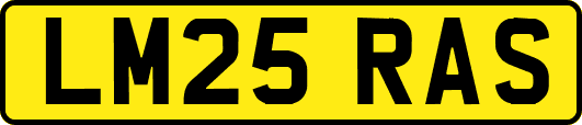 LM25RAS