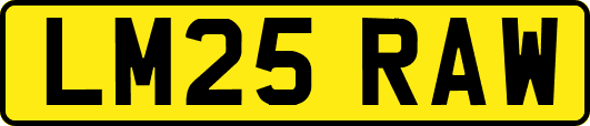 LM25RAW