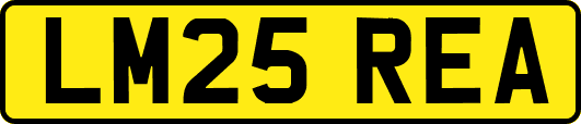 LM25REA