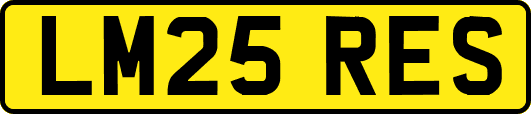 LM25RES