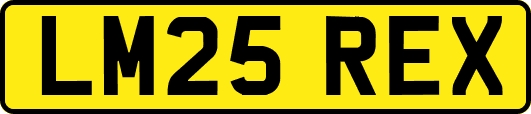 LM25REX