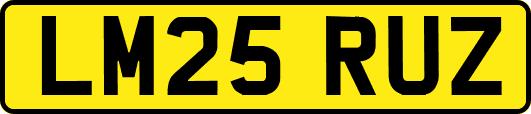 LM25RUZ