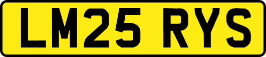 LM25RYS
