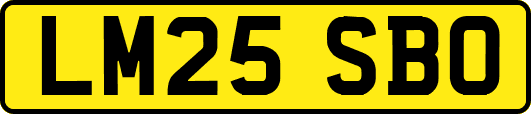 LM25SBO