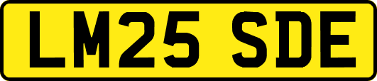 LM25SDE