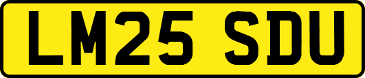 LM25SDU