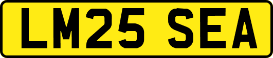 LM25SEA