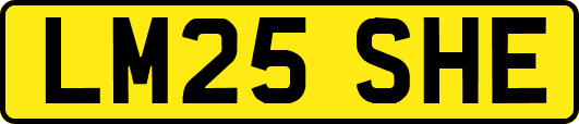 LM25SHE
