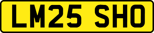 LM25SHO