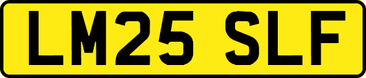 LM25SLF