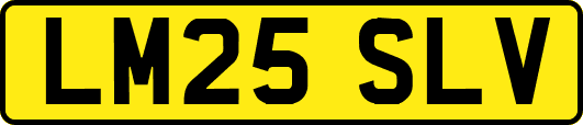 LM25SLV