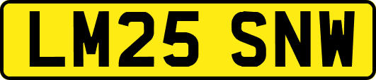 LM25SNW