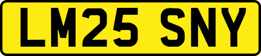 LM25SNY