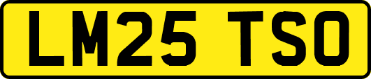 LM25TSO